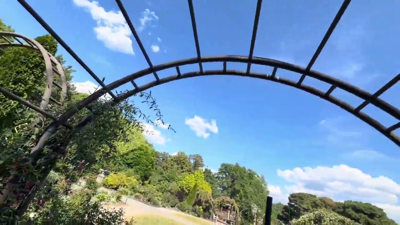 Promotional video thumbnail 2 for Wake Forest Violin