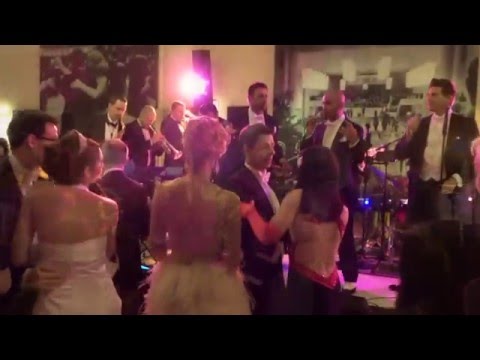 Opernball 2016 - The Rats are back