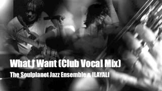 What I Want - The Soulplanet Jazz Ensemble & ILAYALI