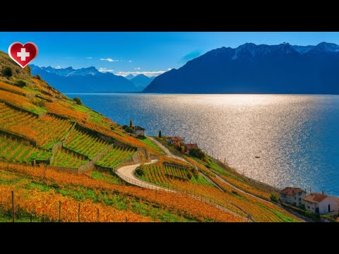 Autumn Walk in Lavaux Switzerland🇨🇭Peaceful Vineyards and Majestic Mountains by Lake Geneva🏔️🍁[4K]