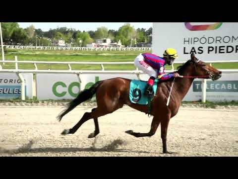 211008 c06 - TURKIZA - HIPODROMO LAS PIEDRAS