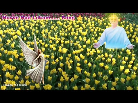 Nuvve Naa Lokam...... Song Telugu👌Brahma kumaris