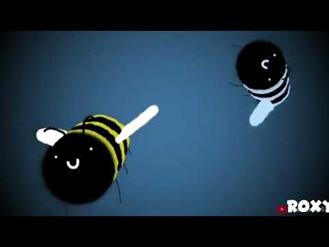 Leaton Roxy - Bee (Official Music Video)