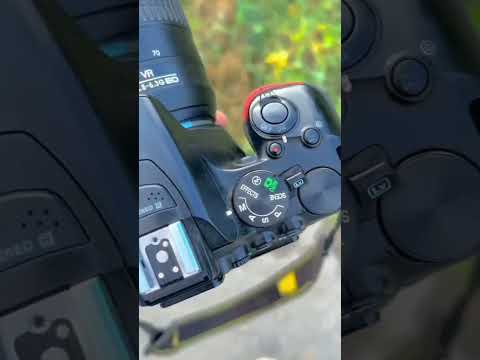 tags nikon lovers #shorts #shortvideo #shortsviral #photography #nikon