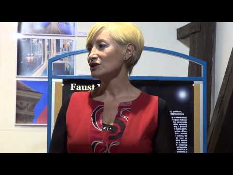 Faust Vrančić - život i djelo jednog polihistora