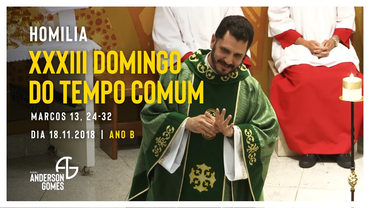HOMILIA 33º Domingo do Tempo Comum (Mc 13, 24-32/Ano B) - 18/11/18