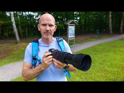 Testbericht Sigma 100-400mm F5-6.3 DG DN OS Review
