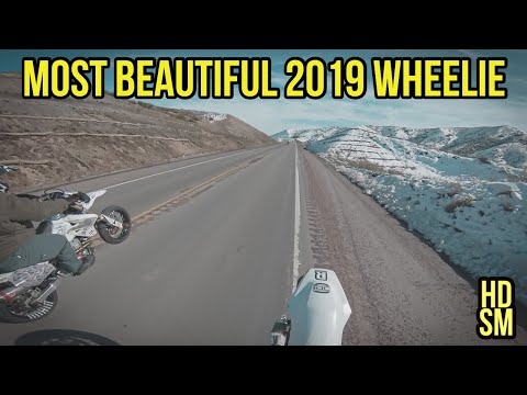 Most Beautiful 2019 Wheelie 😻❄️