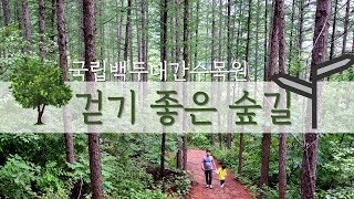 preview picture of video '국립백두대간수목원 걷기좋은 숲길'