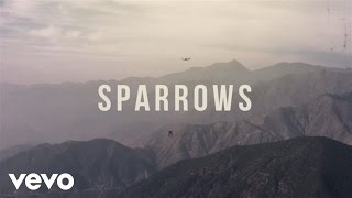 Sparrows Music Video