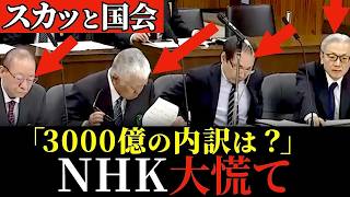 【衝撃暴露】鋭い質問にNHK、震え上がる！MBA持ちの新人議員が理路整然と追い詰める！