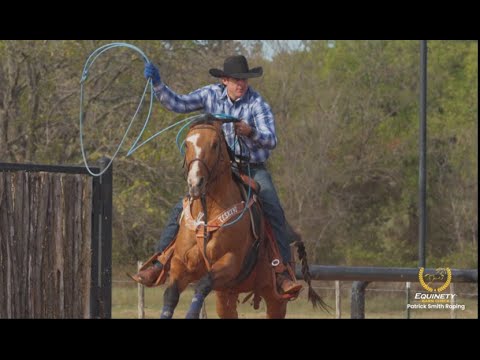 Patrick Smith's Equinety Barn Check