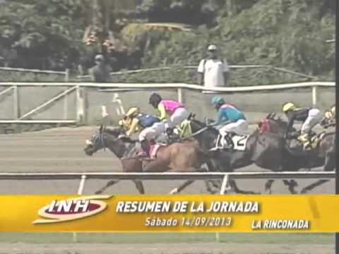 Resumen Jornada Sabado 14 septiembre 2013 LA RINCONADA