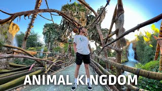 UNE JOURNÉE À ANIMAL KINGDOM - Le plus beau parc Disney ?