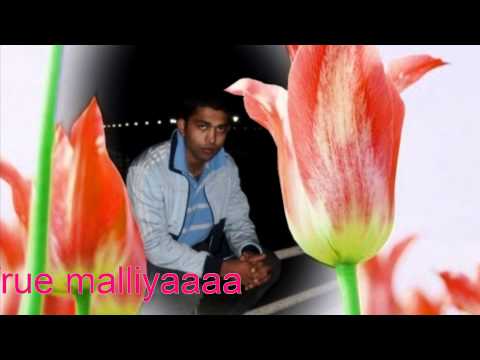 happy birthday to you danu