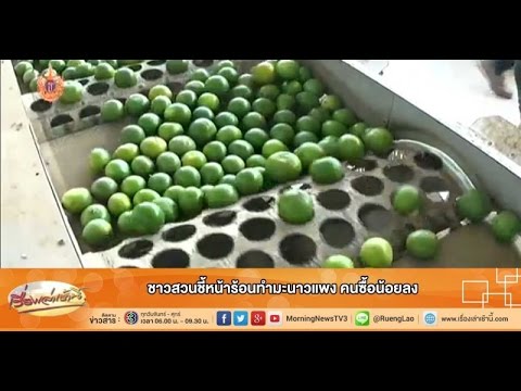 น้ำอัญชันมะนาว