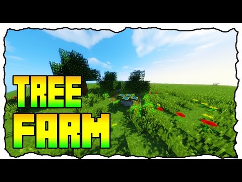 Infinity Evolved Skyblock early game tree farm  [Tutorial] | with Steve Carts
