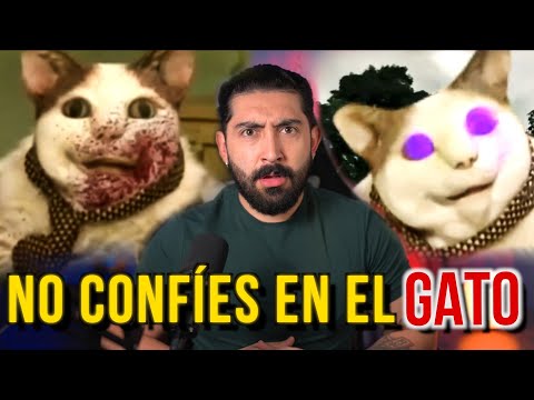 DON'T TRUST THAT CAT