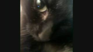 Homenaje a Zarpitas . Darkseed - Echoes of tomorrow (acoustic  version)