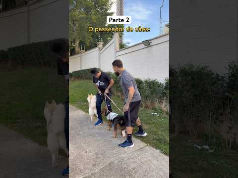 Who walks their dog? @marcotuliodavi #shorts