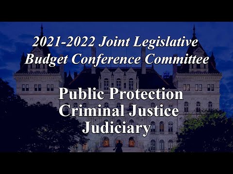 NYS Legislature Joint Budget Subcommittee on Public Protection/Criminal Justice/Judiciary -03/17/21