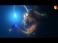 Finding Nemo Anglerfish Scene Flemish