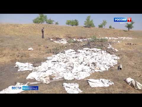 Управлением Россельхознадзора выявлены незаконные свалки отходов производства и потребления на сельхозугодьях Волгоградской области