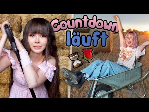 Rosenhof ready machen (aka Stress-Level 3000 😩)