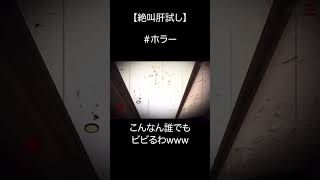こんなん誰でもビビるわwww【絶叫肝試し】 #ゲーム実況 #ホラゲー