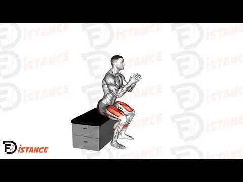 Squat sur plateforme - Exercice Squat sur plateforme en vidéo Squat sur plateforme - Exercice Squat sur plateforme en vidéo