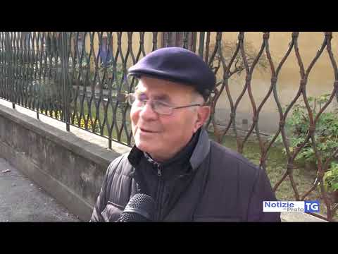 2019-01-19 PRATO - GIÙ I PRIMI ALBERI IN VIALE MONTEGRAPPA