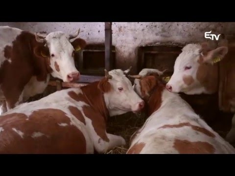 Tájkép: Nagyküküllő Mezőgazdasági Szövetkezet és mezőgazdasági gépkiállítás – 2016. február 29.