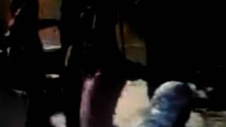 you got me dreamin video