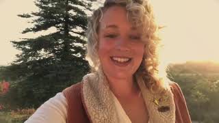 redwood tree available 5.29