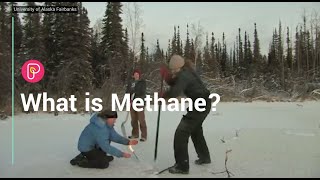 What is Methane and why is it bad for the planet?