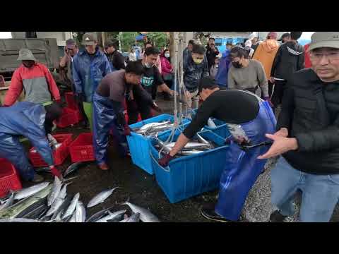 Bosque de aves en polvo Zona de pesca de mariscos Puerto de pesca Zona de pesca fija / Puerto pesquero de Taiwán / Puerto pesquero de Taiwán
