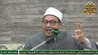 5 د. هشام الكامل، المجلس الخامس (تاريخ التشريع الإسلامي) (ساحة الدح)