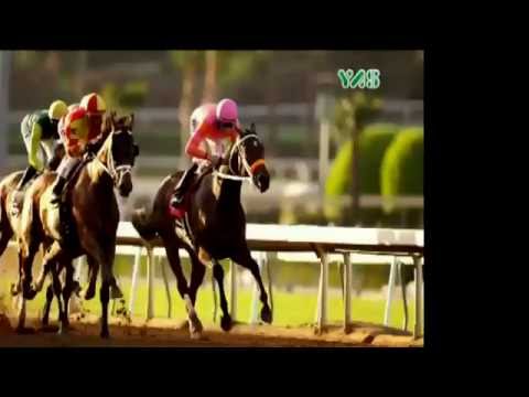 Belgium - Sheikh Zayed Bin Sultan Al Nahyan Cup - 15 August 2016