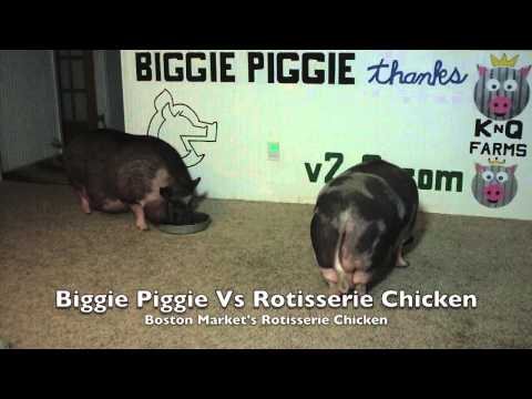 Biggie Piggie Vs Boston Market Rotisserie Chicken v2.0.com