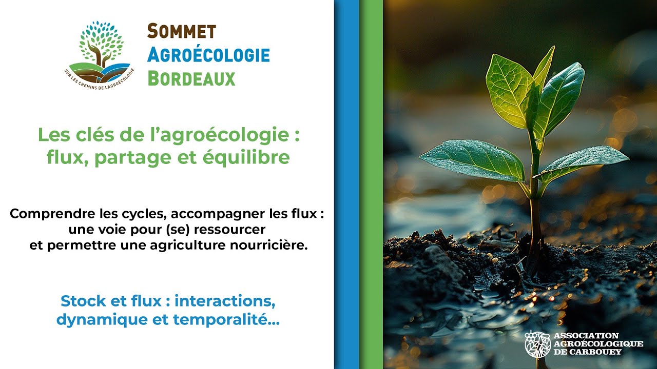 05   Stock et flux   interactions, dynamique et temporalité…