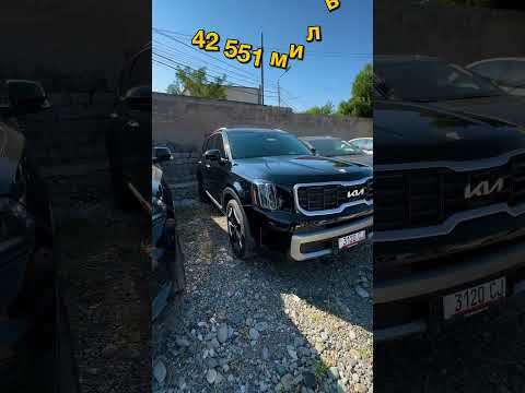 Kia Telluride 2023