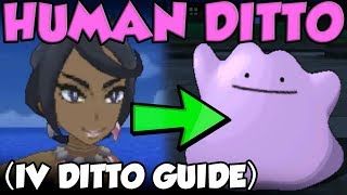 HUMAN DITTO LOCATIONS?! IV Ditto Guide for Pokemon Ultra Sun and Ultra Moon