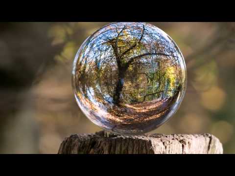 DANIEL HIRTIE - RASPUNDE-MI