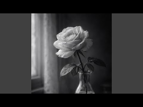 Rozkwitały pąki białych róż - Wierszem Inaczej