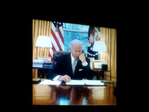 Cavalinhos da Inglaterra e Holanda e o Camelinho do Fantástico com o Cavalinho do Brasil