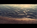 Faultline - Your Love Means Everything Part 2 ...