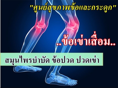 สมาชิกบ้าครีม ที่คืนความแข็งแรง