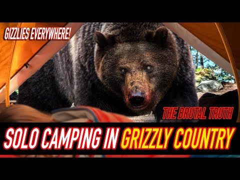 Grizzly bears EVERYWHERE | The brutal truth about camping in grizzly country