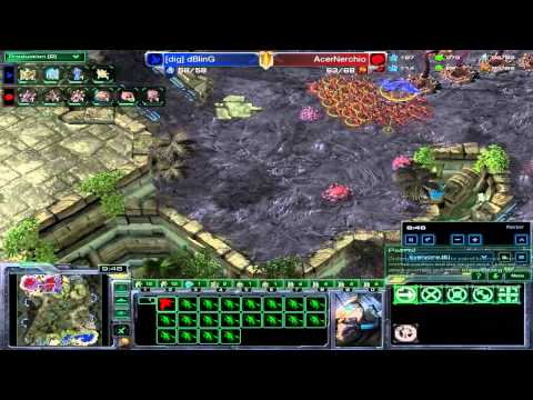 Dignatas.Bling vs Acer.Nerchio Bel'Shir Vestige