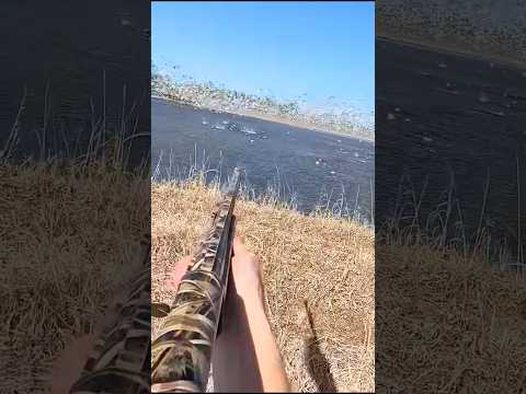 Снимок пруда Goose Roost Jump Pond | Арканзас #birdhunting #huntingseason #охота